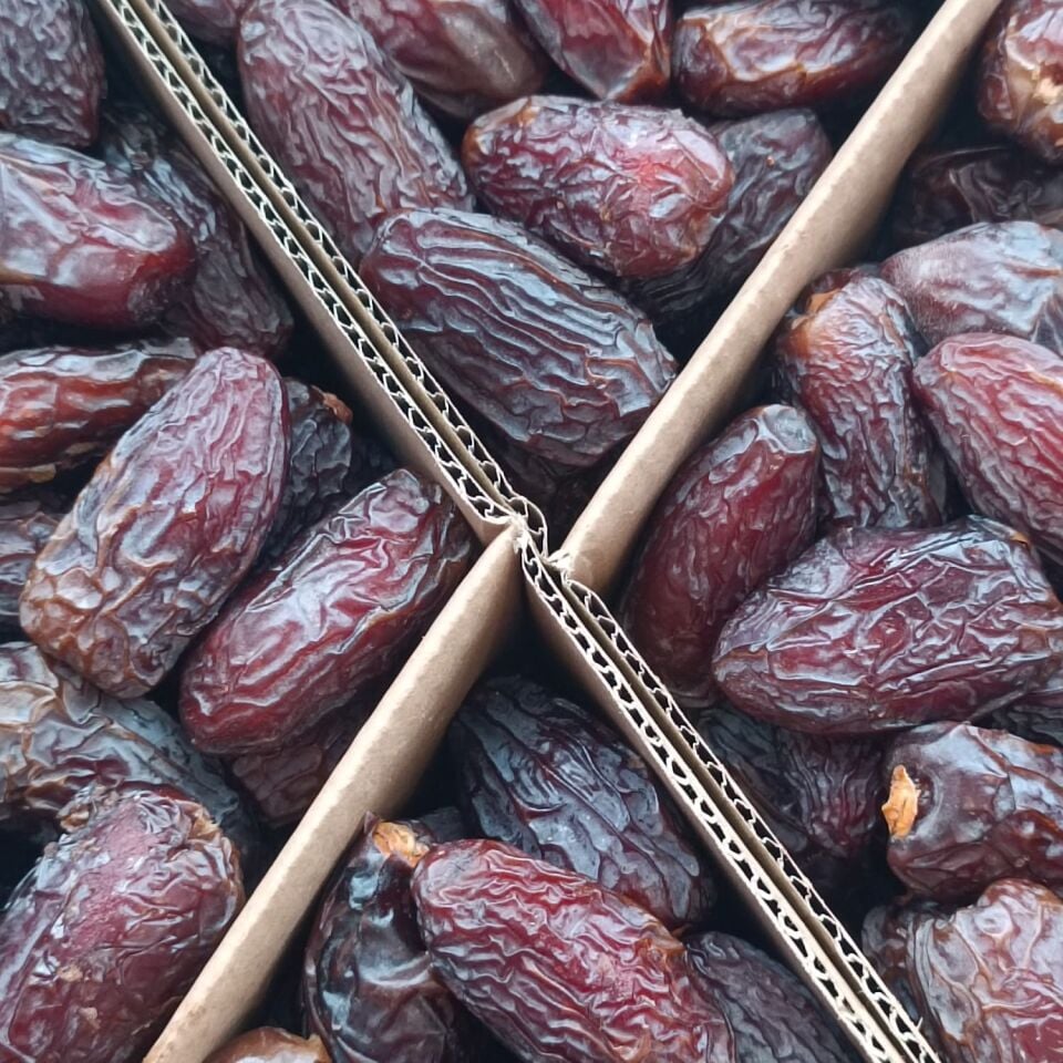 Toptan Kudüs Medjoul Premium Jumbo 10 Kg
