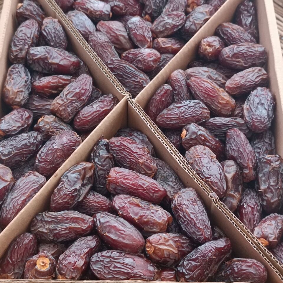 Toptan Kudüs Medjoul Premium Jumbo 10 Kg