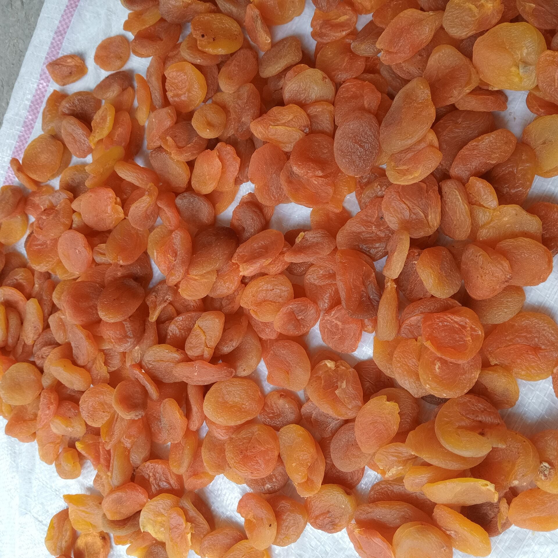 Toptan Ekonomik Sarı Kayısı 12 Kg
