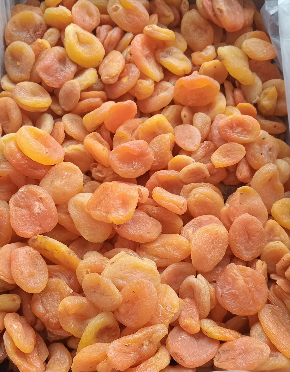 Toptan Ekonomik Sarı Kayısı 12 Kg