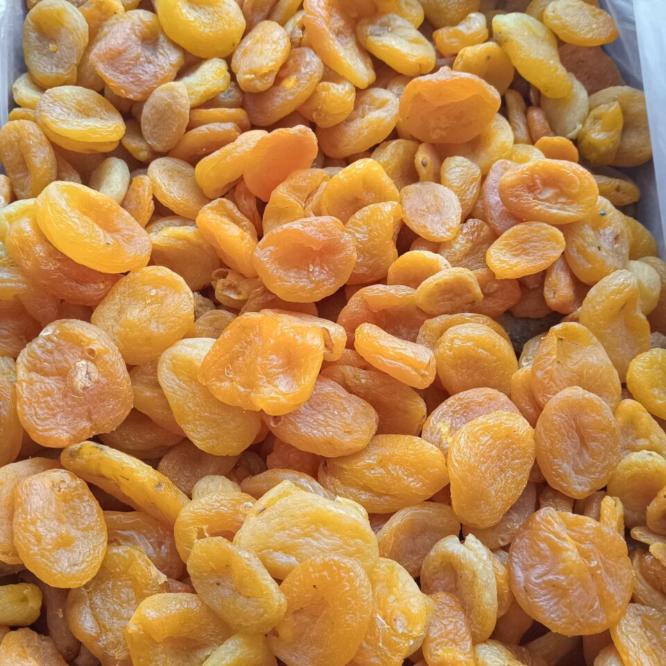 Toptan Ekonomik Sarı Kayısı 12 Kg