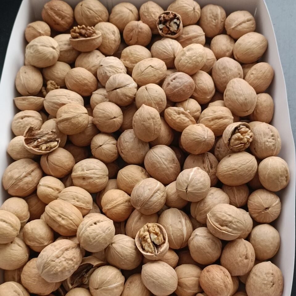 Toptan İthal Kabuklu Ceviz 10 Kg