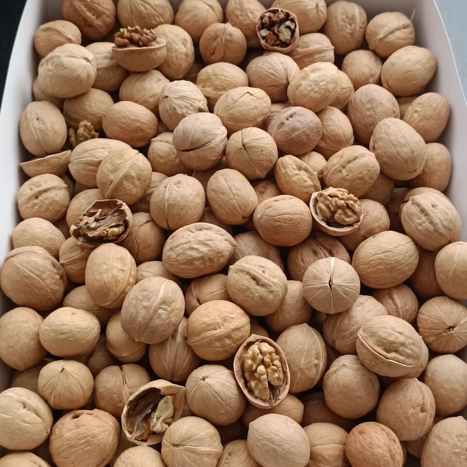 Toptan İthal Kabuklu Ceviz 10 Kg