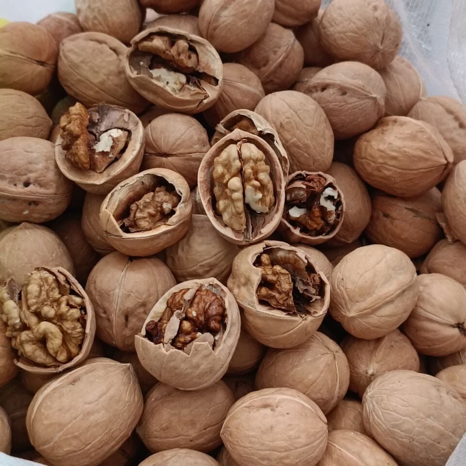 Toptan İthal Kabuklu Ceviz 10 Kg