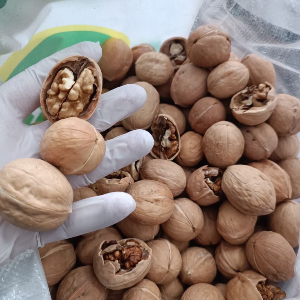 Toptan İthal Kabuklu Ceviz 10 Kg