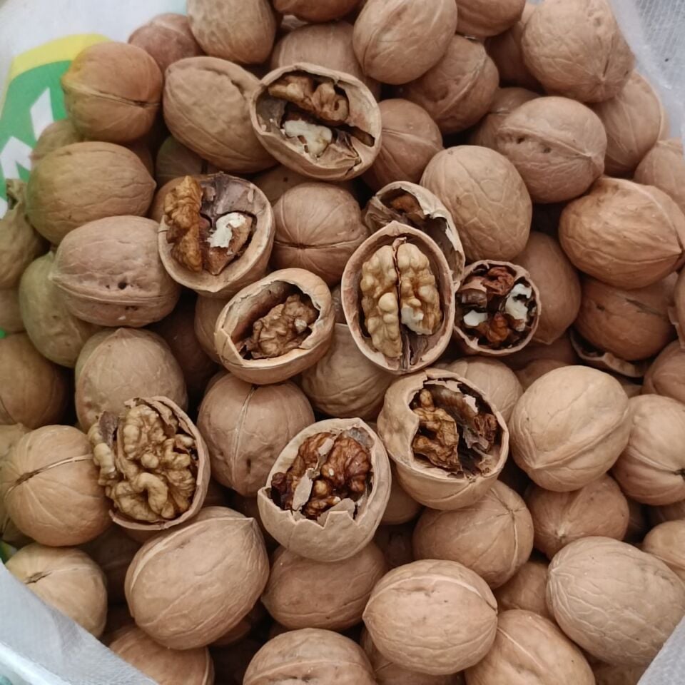 Toptan İthal Kabuklu Ceviz 10 Kg