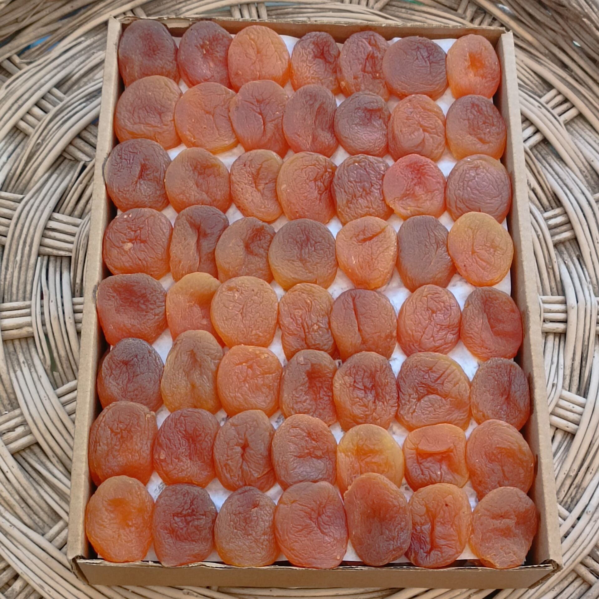 Toptan Jumbo Düşük Kükürt Özel Dizim Kayısı 10Kg