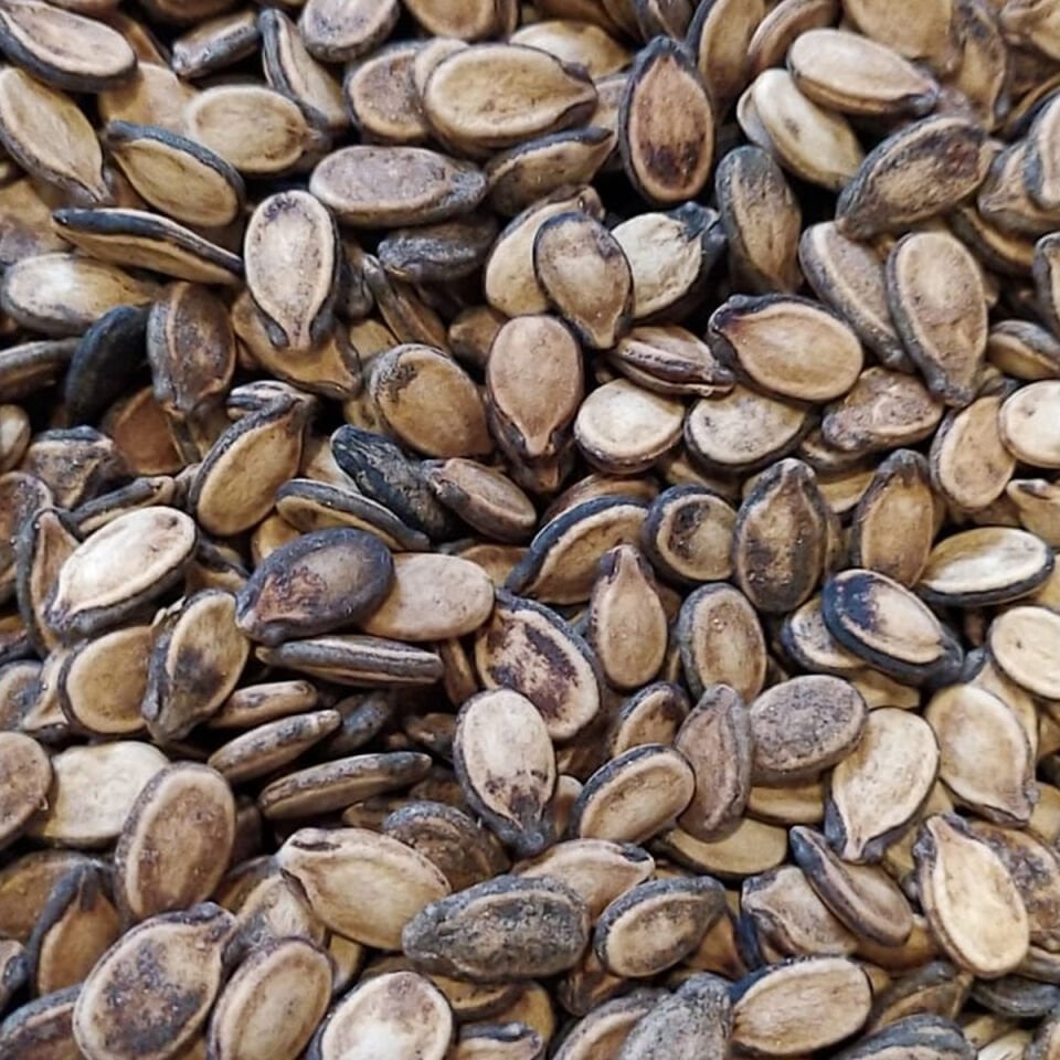 Toptan Kavrulmuş Karpuz Çekirdeği 10Kg