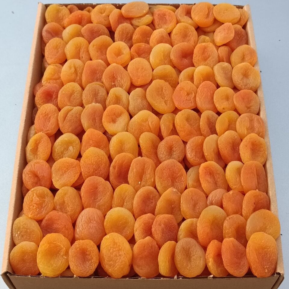 Toptan Lüks Sarı Orta Boy Kayısı 10Kg