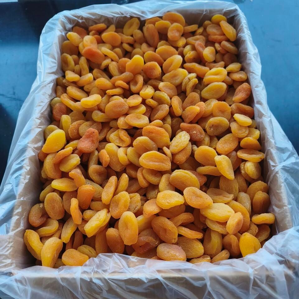 Toptan Lüks Sarı Orta Boy Kayısı 10Kg