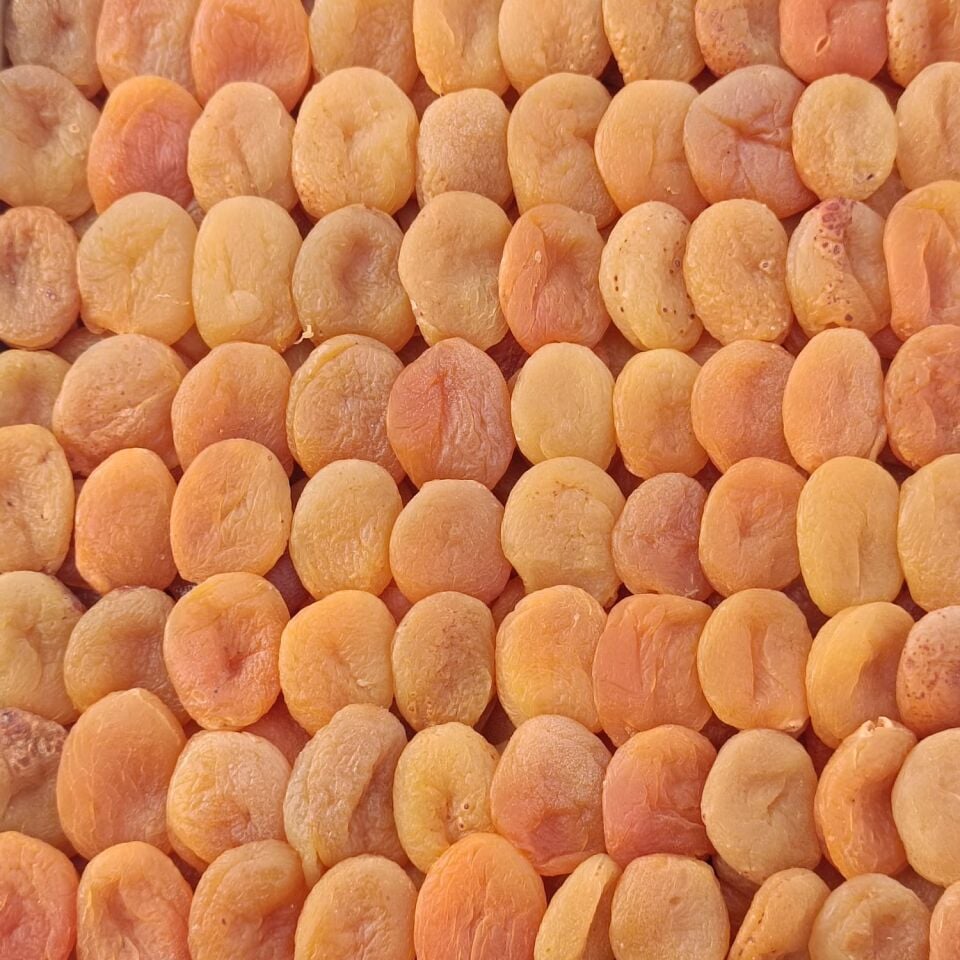 Toptan Ekonomik Sarı Kayısı 10Kg