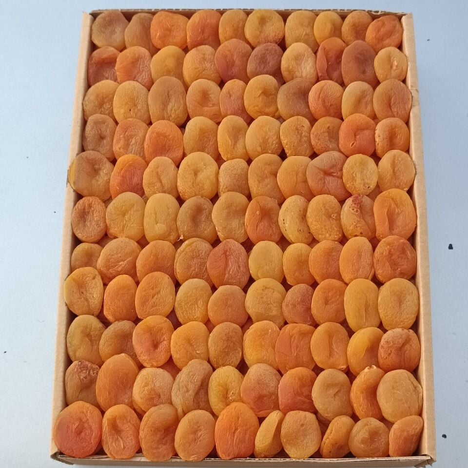 Toptan Ekonomik Sarı Kayısı 10Kg