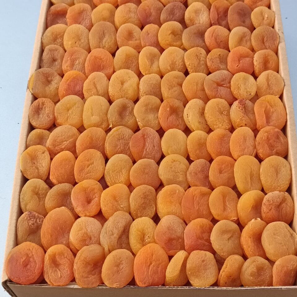 Toptan Ekonomik Sarı Kayısı 10Kg