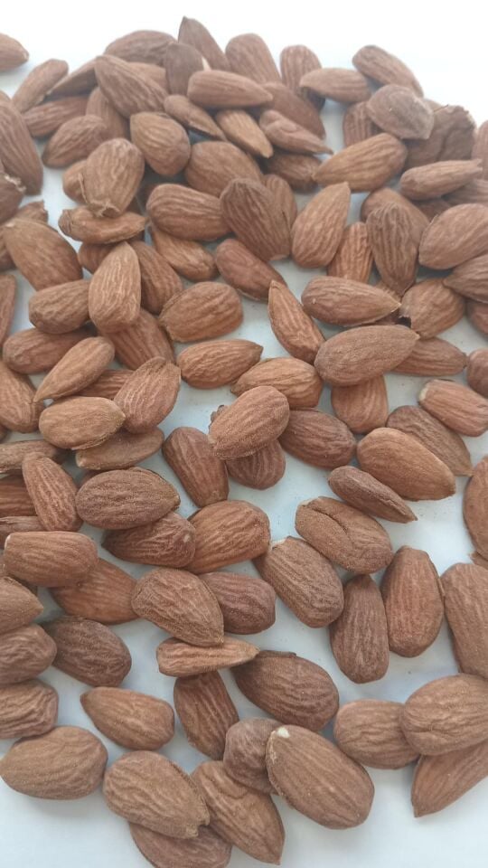 Toptan Yerli Feragnes Çiğ Badem 1 Ton