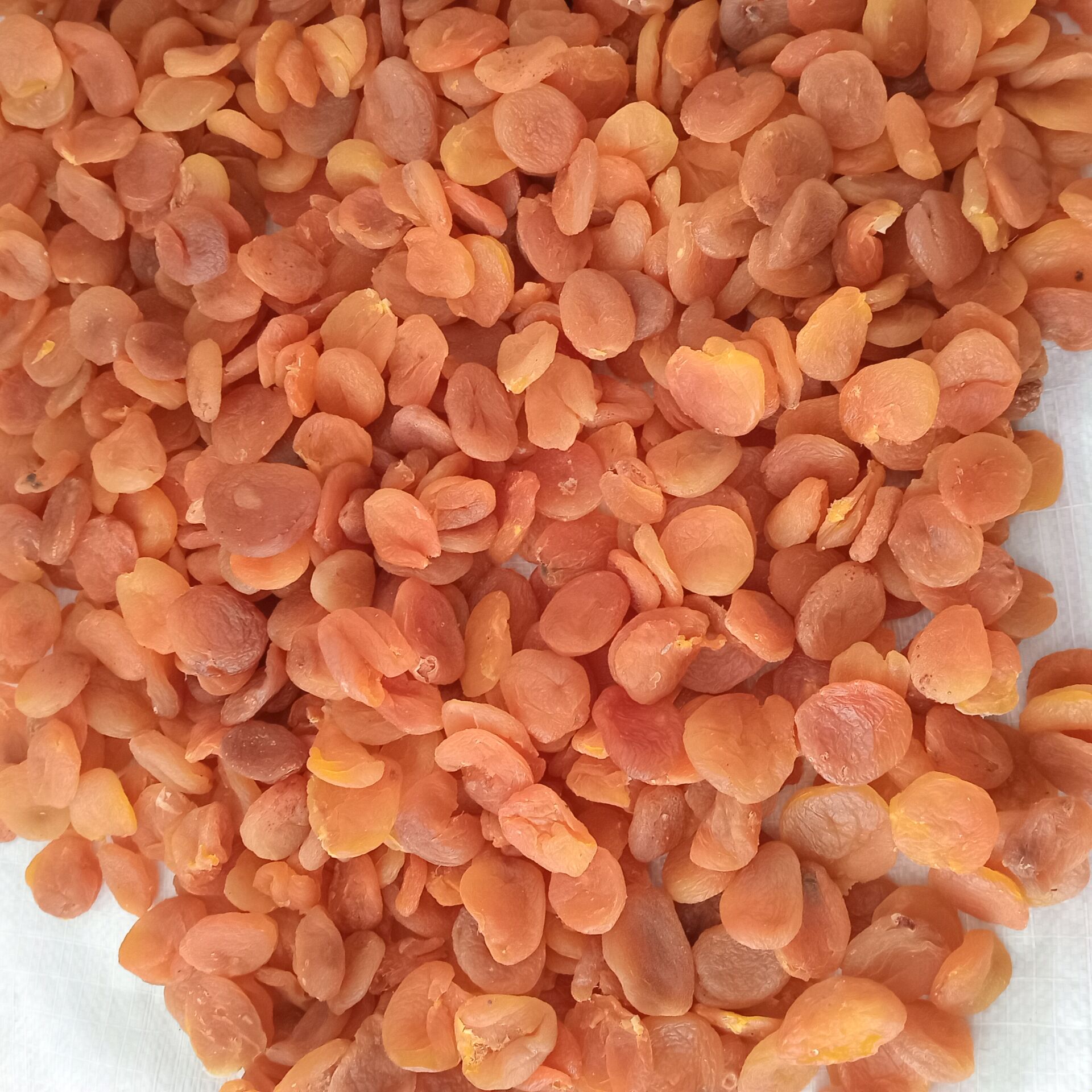 Toptan Aşurelik Kayısı 10 Kg