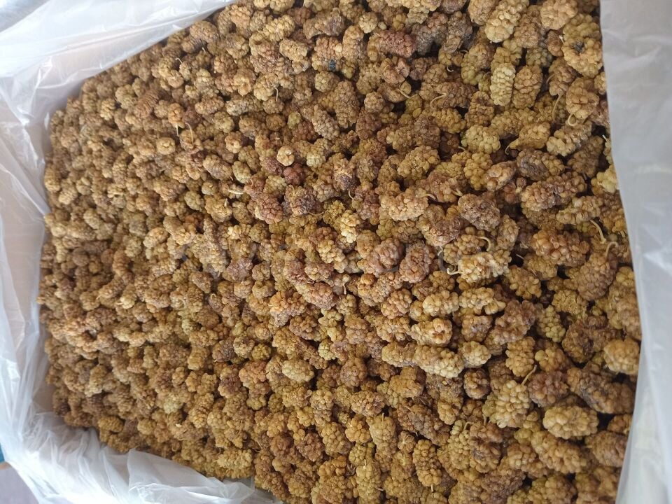 Toptan Aşurelik Dut Kurusu 11 Kg