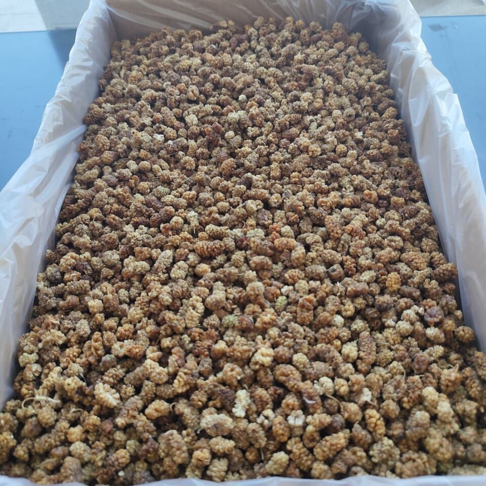 Toptan Aşurelik Dut Kurusu 11 Kg