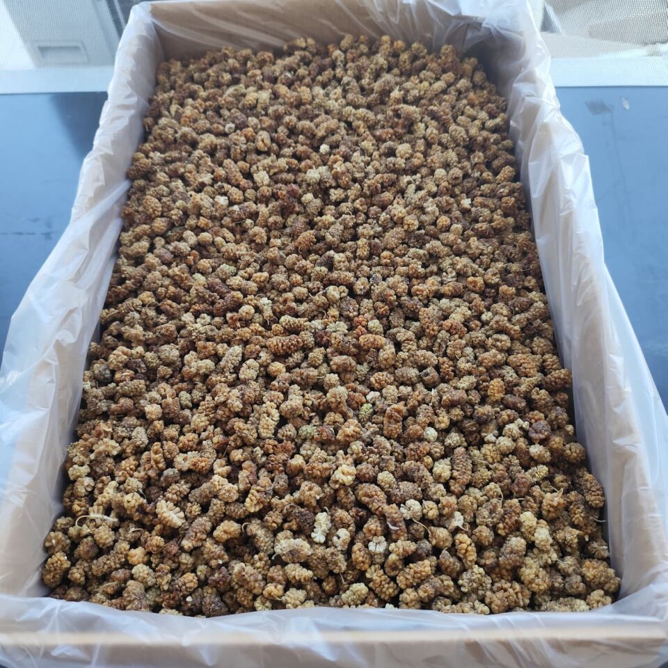 Toptan Aşurelik Dut Kurusu 11 Kg