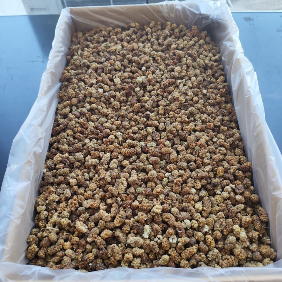 Toptan Aşurelik Dut Kurusu 11 Kg