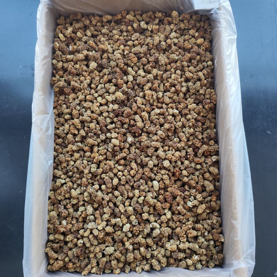 Toptan Aşurelik Dut Kurusu 11 Kg