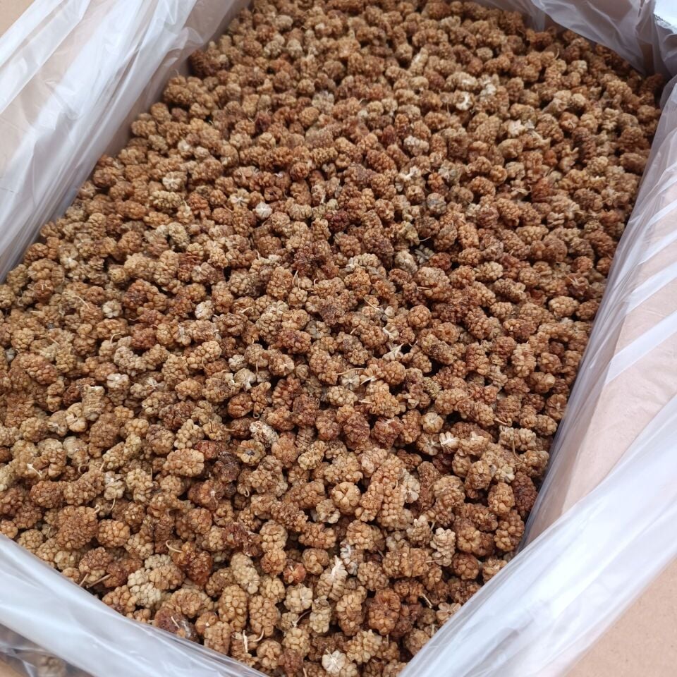 Toptan Aşurelik Dut Kurusu 11 Kg