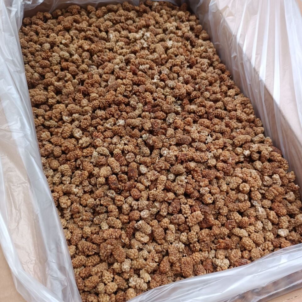 Toptan Aşurelik Dut Kurusu 11 Kg