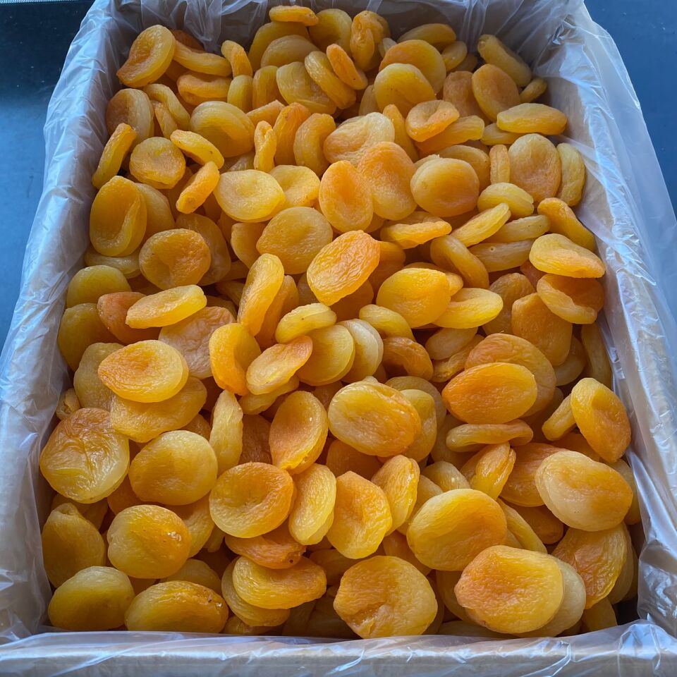 Toptan Jumbo Sarı Kayısı 10Kg