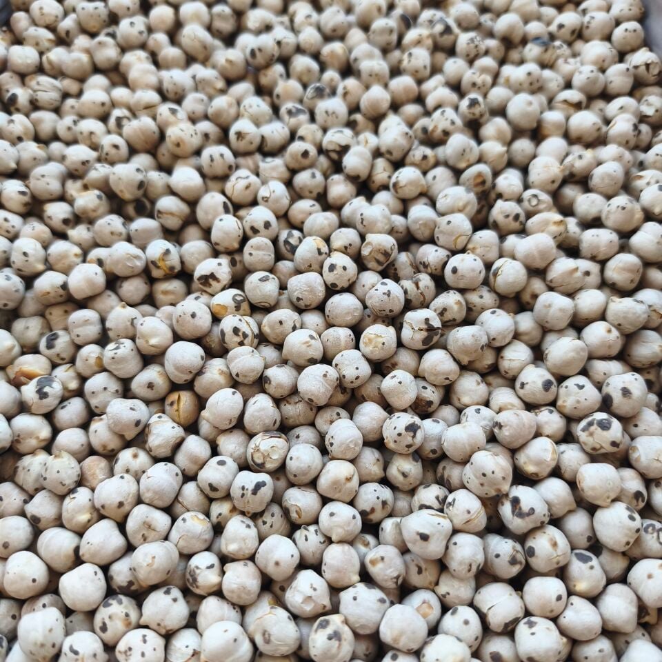 Toptan Köy Leblebisi 10 Kg