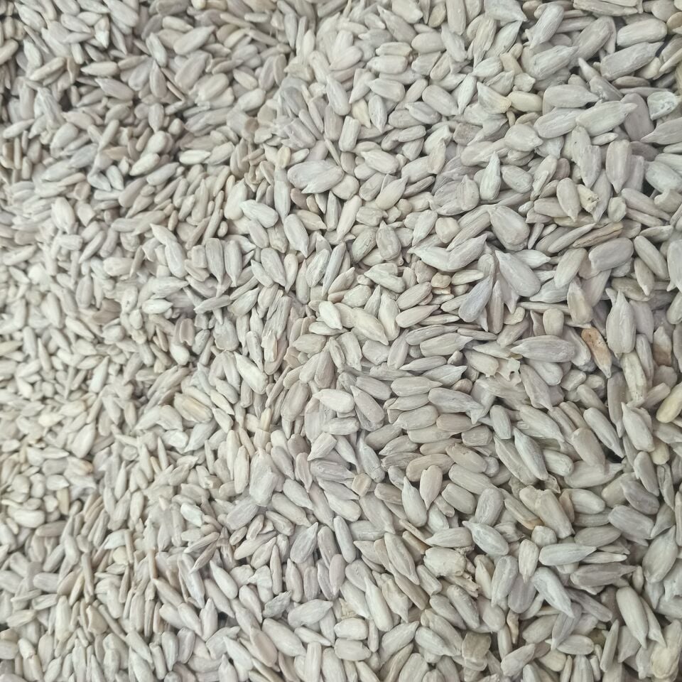 Toptan Ayçekirdeği İçi 10 Kg