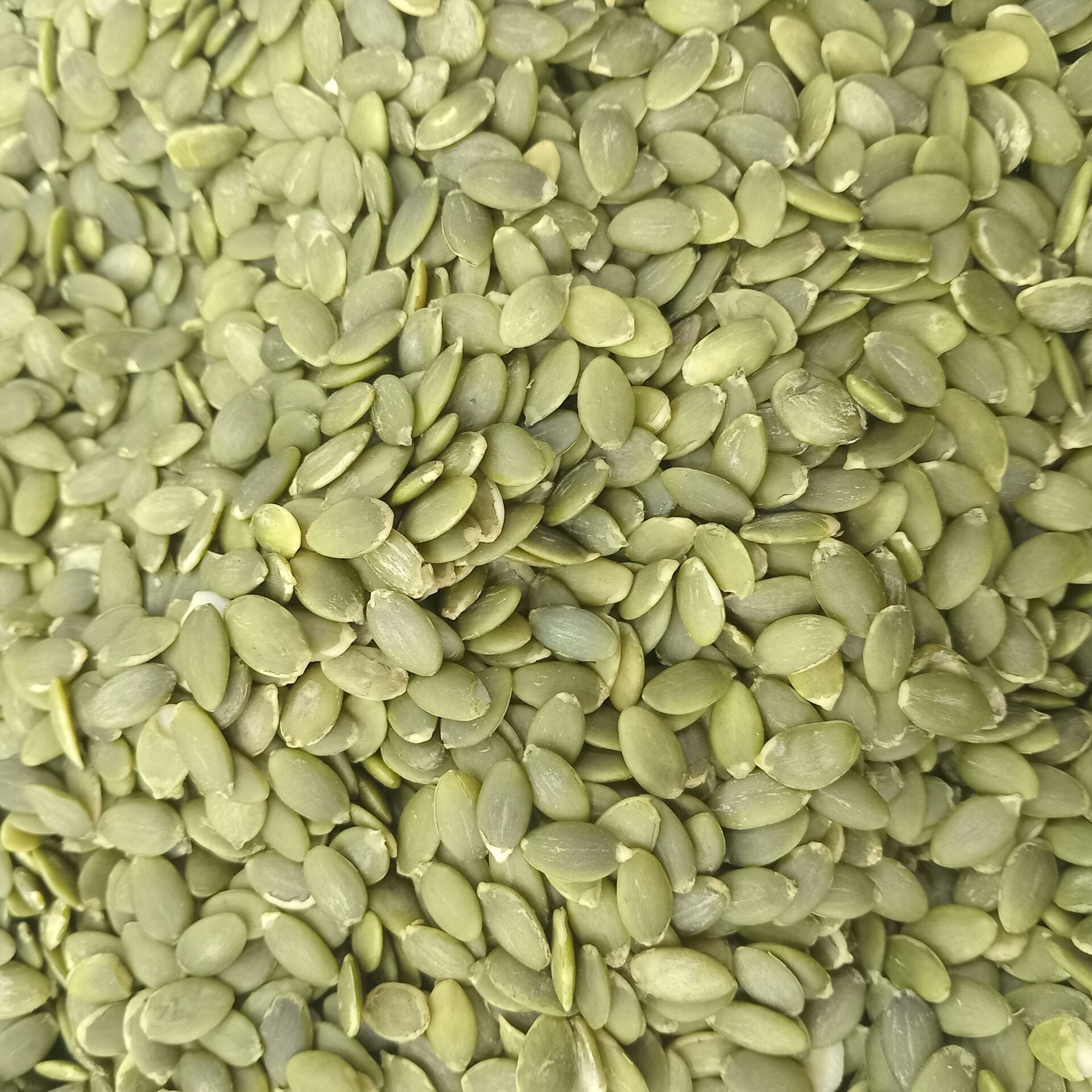 Toptan Kabak Çekirdeği İçi 10 Kg