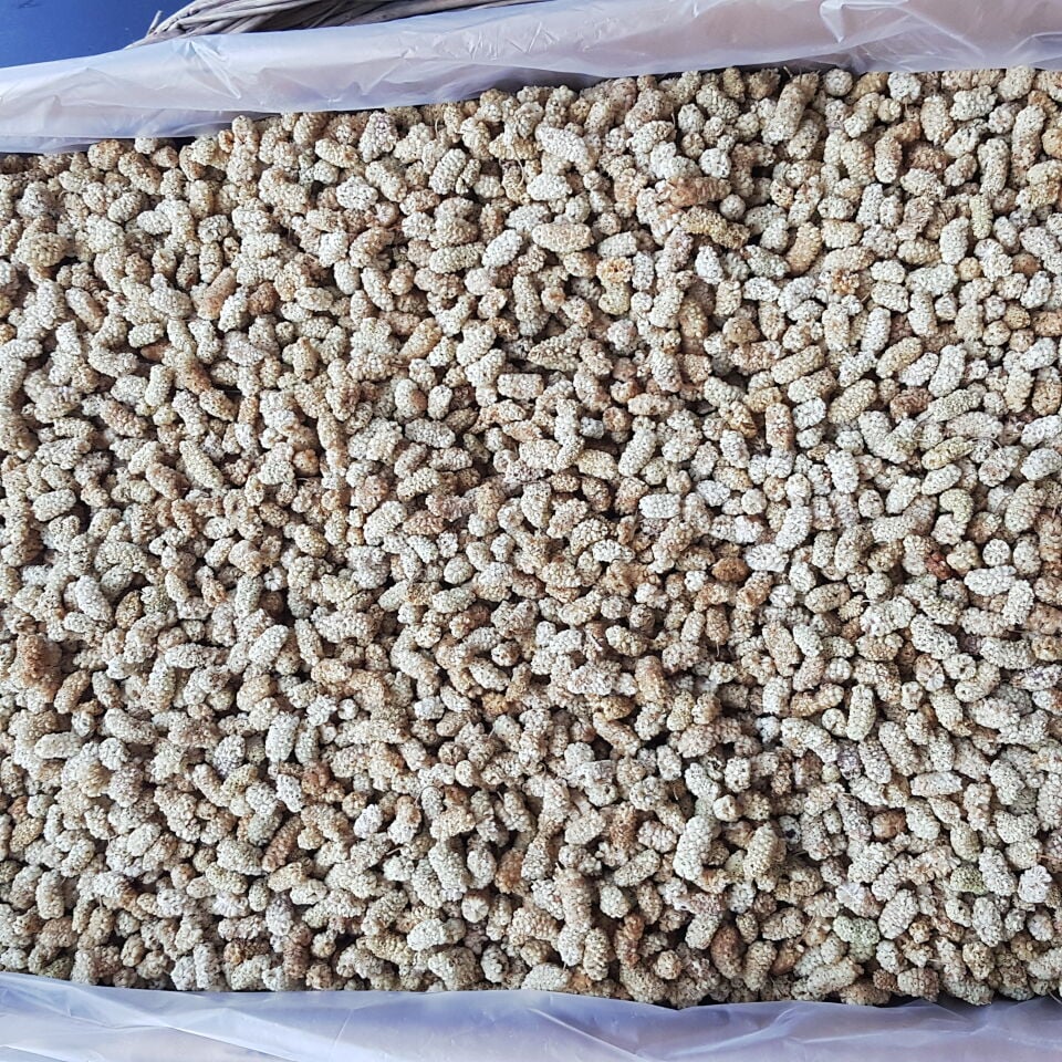 Toptan Lüks Ulukale Dut Kurusu 8 Kg
