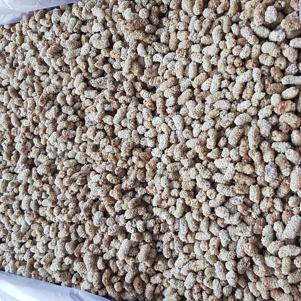 Toptan Lüks Ulukale Dut Kurusu 8 Kg
