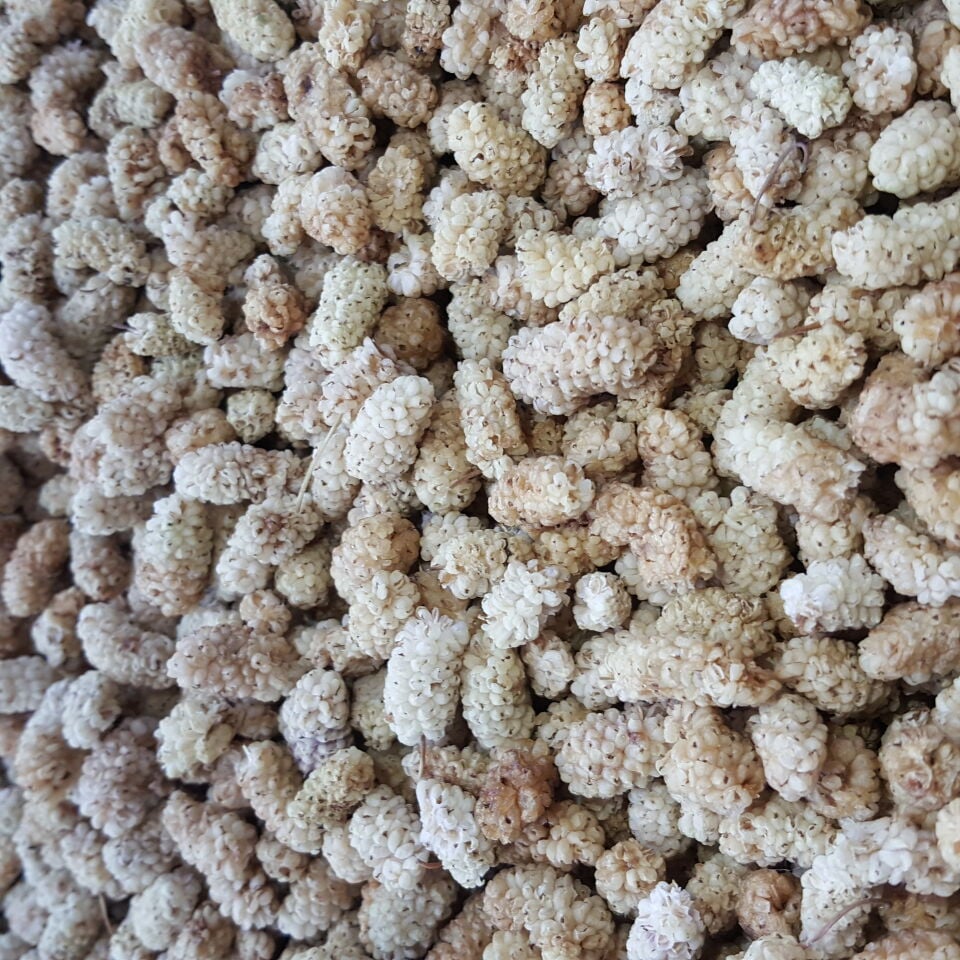 Toptan Lüks Ulukale Dut Kurusu 8 Kg