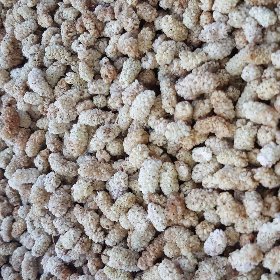 Toptan Lüks Ulukale Dut Kurusu 8 Kg