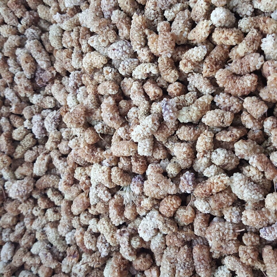 Toptan Ekonomik Ulukale Dut Kurusu 8 Kg