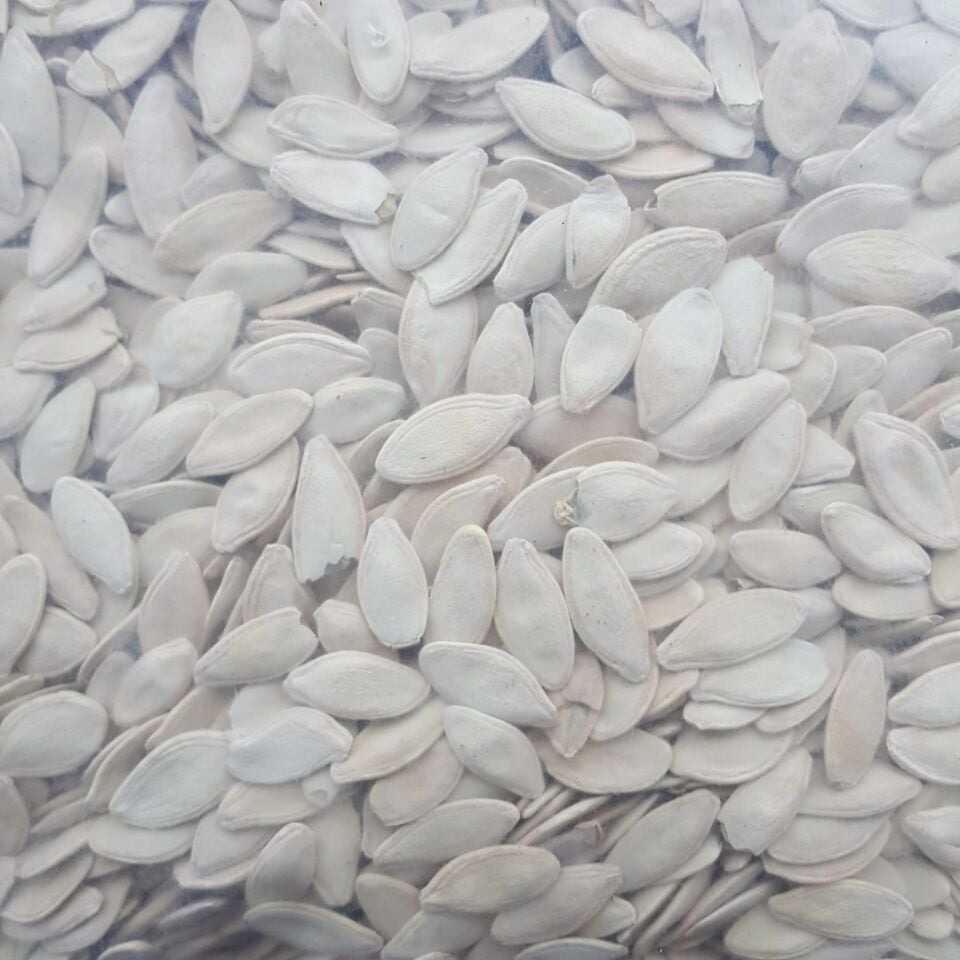Toptan Kabak Çekirdeği Kavrulmuş Tuzlu Ekonomik 10 kg