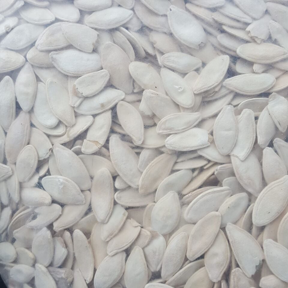Toptan Kabak Çekirdeği Kavrulmuş Tuzlu Ekonomik 10 kg