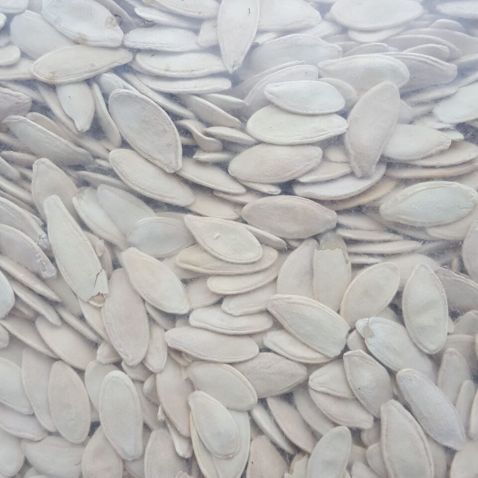 Toptan Kabak Çekirdeği Kavrulmuş Tuzlu Ekonomik 10 kg